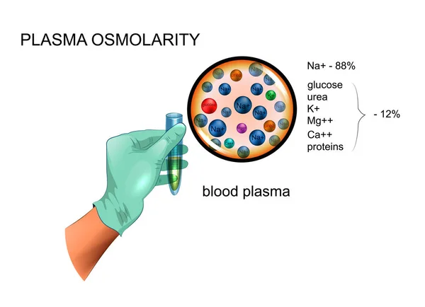 Плазмової осмолярності, склад — стоковий вектор
