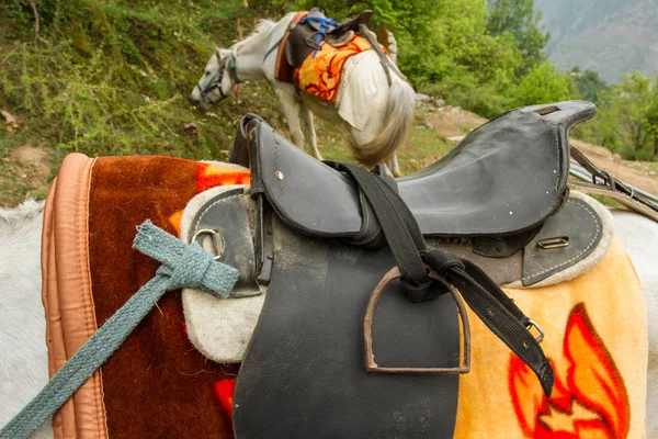 Viaje Verano Paseos Caballo — Foto de Stock