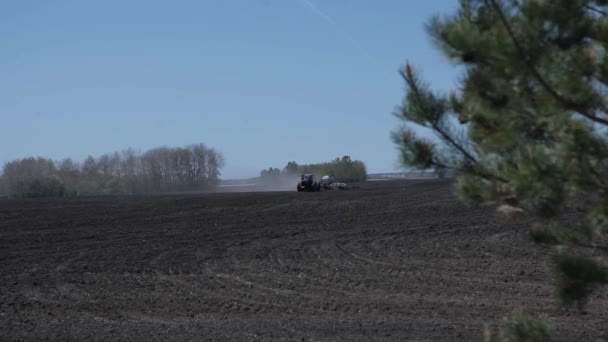 Tractor Monta Campo Arado Siembra Grano — Vídeo de stock