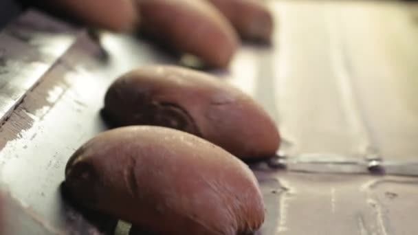 Pane Fresco Sul Nastro Trasportatore Panificio Moderno Industria Alimentare — Video Stock