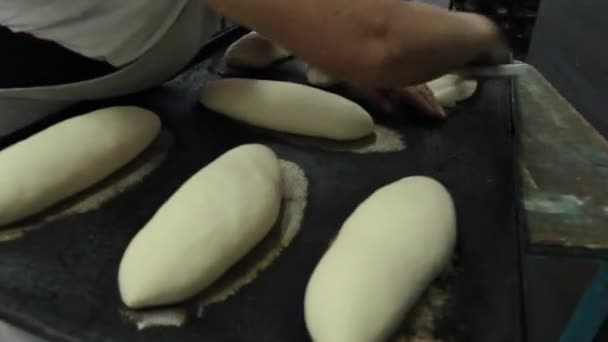 Technologie Der Brotproduktion Eine Frau Bereitet Den Teig Zum Backen — Stockvideo