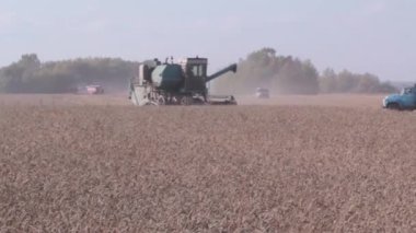 Tarım makineleri. Biçerdöver buğday alanında birleştirir. Bitkileri hasat zamanı.