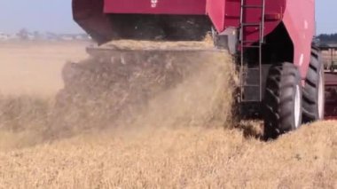 Özel Tarım makineleri. İş yerinde hasat birleştirin. Arkadan görünüm