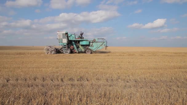 Machines Agricoles Combiner Moissonneuse Dans Champ Blé Temps Récolte Des — Video