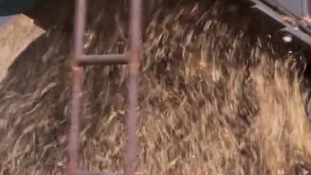 Speciella Jordbruksmaskiner Skördetröska Jobbet Bakifrån — Stockvideo