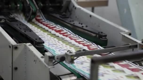 Video Clip Printing Factory End Printing Latest Logs Conveyor Belt — Stock Video