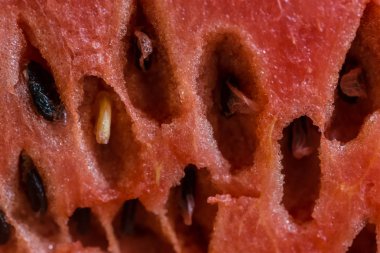 Sulu karpuz eti. Karpuz desen