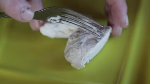 チーズ工場についてのビデオ クリップ 自家製の山羊乳チーズをテイスティングします 金型を自宅のある柔らかいチーズの生産 — ストック動画