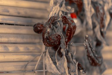 Kuru ot ve kırmızı biber. Bir köy evinin iç detayları.