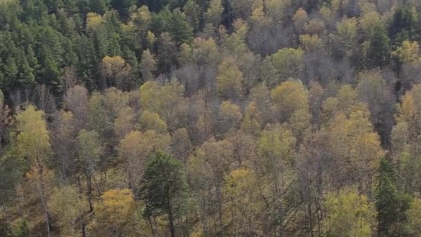 Fuente Del Río Berd Otoño Siberia Los Colores Brillantes Septiembre — Vídeos de Stock