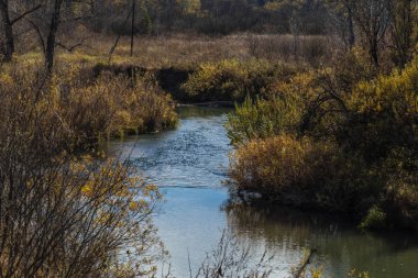 Sonbahar orman temiz nehirde. Mevsim değişikliği Sibirya.