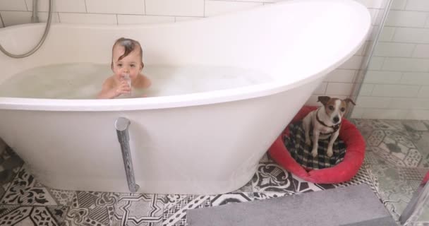 Niño pequeño y un perro en un baño — Vídeo de stock