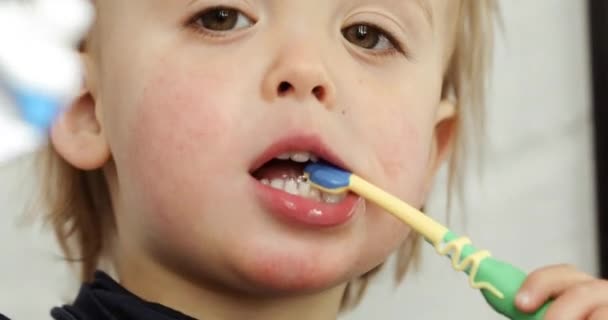 Liten pojke borsta hans tänder — Stockvideo