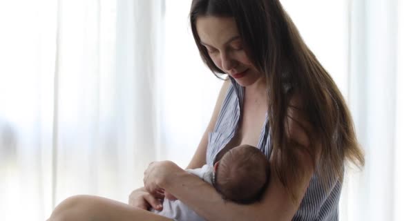 Madre premurosa che allatta il bambino — Video Stock