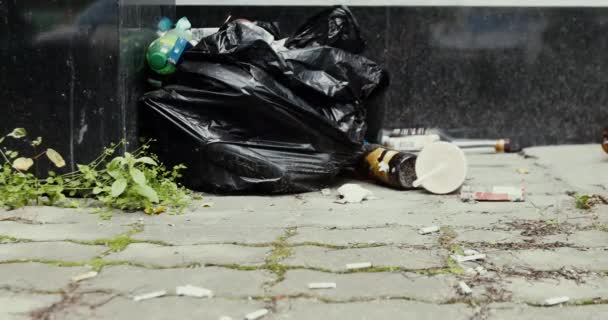 Свалка черного мусорного мешка на обочине города — стоковое видео