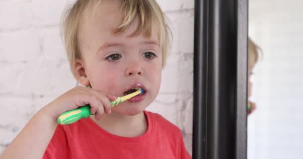 Niño niño cepillarse los dientes — Vídeo de stock