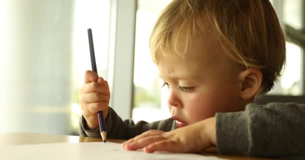 Niño dibuja con un lápiz — Vídeo de stock
