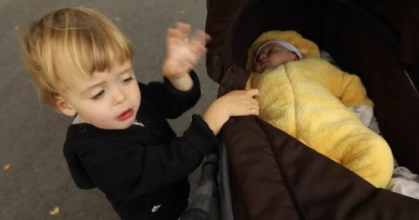 Pasgeboren baby tot in voederbak zijn broers hem kijken — Stockvideo