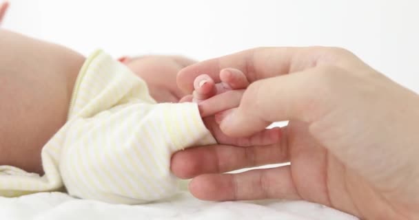 Cosecha tierna mano sosteniendo diminuta mano recién nacido — Vídeo de stock