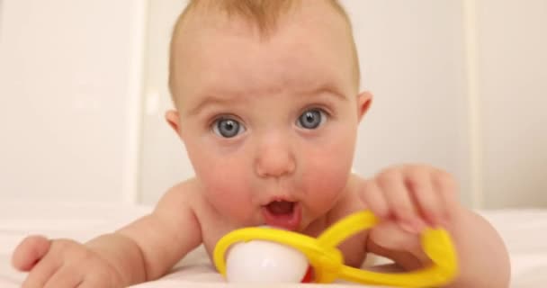 Four month old baby play with bright toy — Stock Video