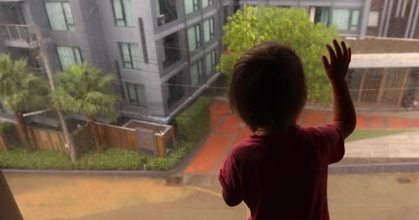 Criança curiosa olhando para longe na janela — Vídeo de Stock