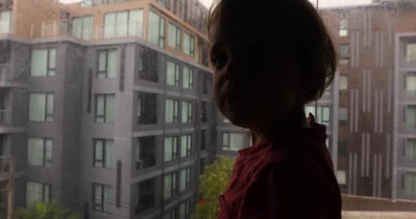 Curious kid looking away in window — Stock Video