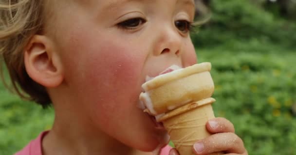 Schattig peuter jongen eten van ijs — Stockvideo