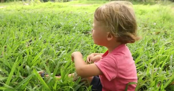 Мальчик сидит на траве снаружи — стоковое видео