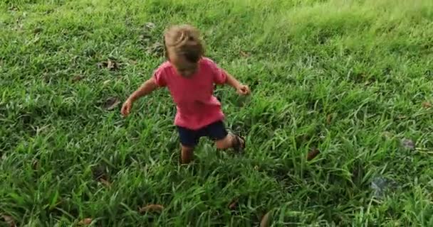 Bebê andando na grama verde — Vídeo de Stock