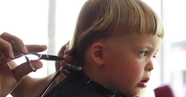 Crop peluquero haciendo corte de pelo a niño pequeño — Vídeos de Stock