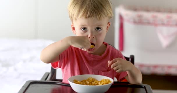 Menino Comendo Flocos Milho Café Manhã Casa — Vídeo de Stock