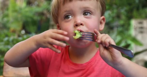 Ребенок ест брокколи вилкой — стоковое видео