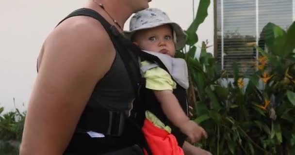 Crop homme avec bébé dans le porte-bébé — Video