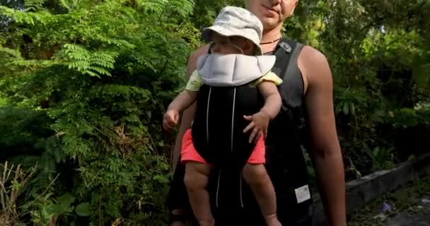Cultivo hombre con bebé en el portador — Vídeo de stock