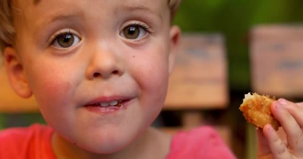 Niño comiendo pollo frito — Vídeo de stock