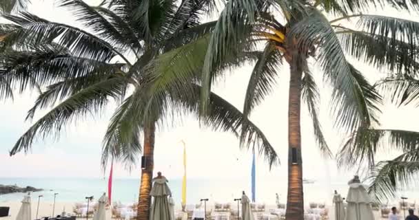 Palmeiras tropicais na praia — Vídeo de Stock