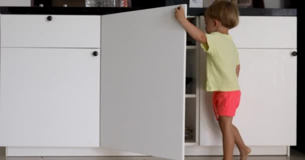 Little boy looking inside kitchen cupboard — Stock Video