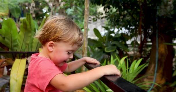 Alegre bebê sentado terraço cercado plantas — Vídeo de Stock