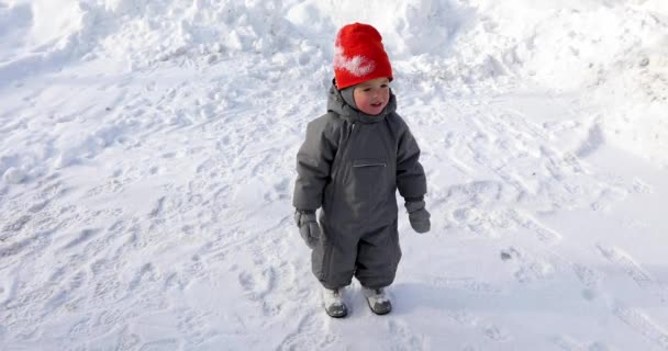 Hild achtergrond wit snowdrifts pennen — Stockvideo