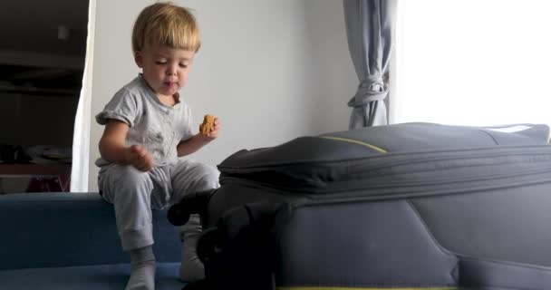 El bebé está sentado y comiendo galletas junto a una maleta. — Vídeo de stock
