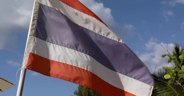 Mooie vlag Thailand tegen de hemel palmbomen — Stockvideo