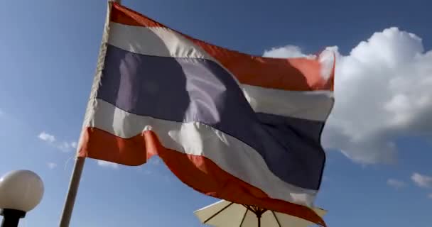 Mooie vlag evoluerende wind — Stockvideo