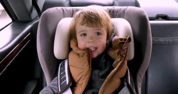 Niño sentado en un coche en silla de seguridad — Vídeos de Stock
