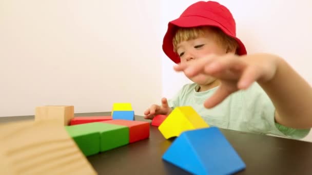 Söt liten pojke leker med block — Stockvideo