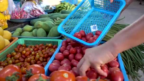 Counter with vegetables and person sorting tomatoes — Stock Video