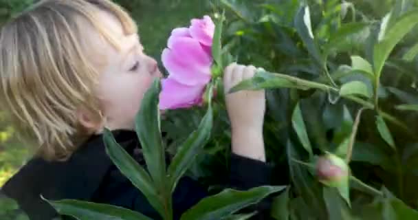 Un enfant renifle une fleur — Video
