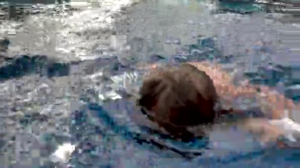 Niedliche nasse Kleinkind Junge beim Schwimmen im Pool — Stockvideo