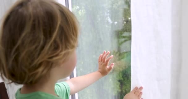 El chico está de pie y mirando por la ventana — Vídeos de Stock