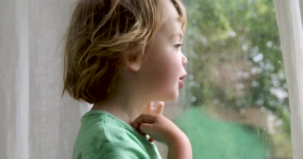 Junge steht und schaut aus dem Fenster — Stockvideo