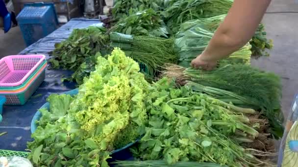 Various greenery on counter in market — Stock Video